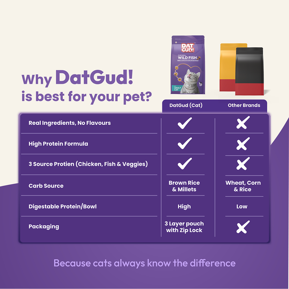 DatGud Chicken & Wild Fish Adult Cat Dry Food