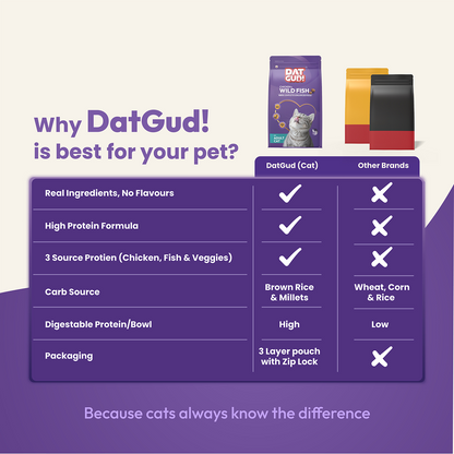 DatGud Chicken & Wild Fish Adult Cat Dry Food
