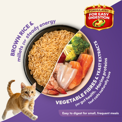 DatGud Chicken & Wild Fish Adult Cat Dry Food (Buy 1 Get 1 Free)