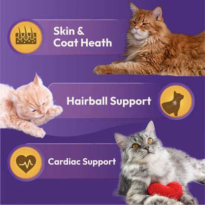 DatGud Chicken & Wild Fish Adult Cat Dry Food
