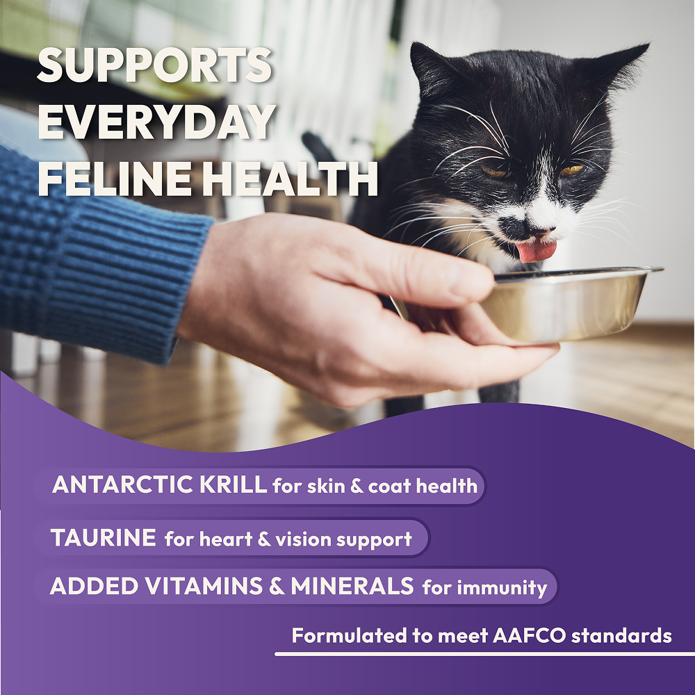 DatGud Chicken & Wild Fish Adult Cat Dry Food (Buy 1 Get 1 Free)