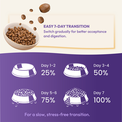 DatGud Chicken & Wild Fish Adult Cat Dry Food (Buy 1 Get 1 Free)