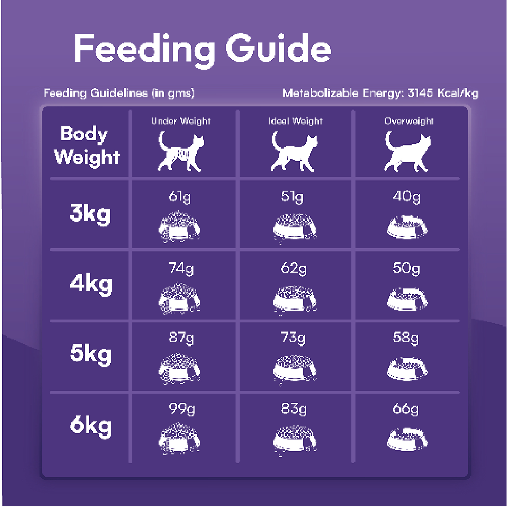 DatGud Chicken & Wild Fish Adult Cat Dry Food