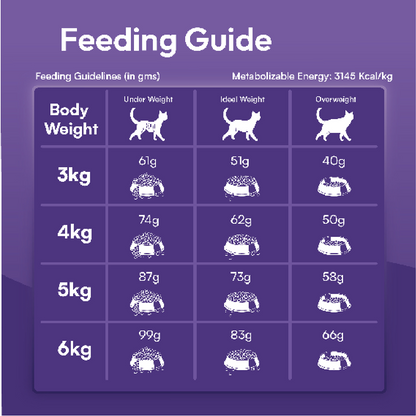 DatGud Chicken & Wild Fish Adult Cat Dry Food