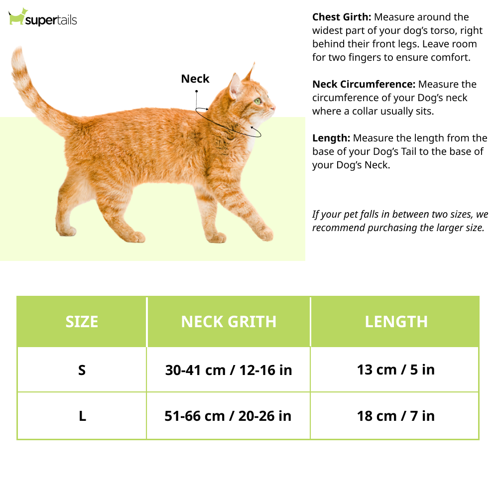 Ruse IPL Gujarat Biters Printed Bandana for Cats (Navy) | Indian Pet League