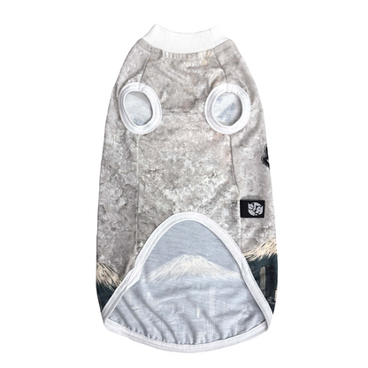 Pets Way Catzilla Tshirt for Cats