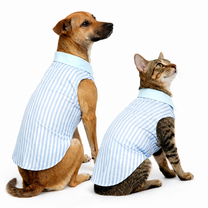Skatrs Cotton Shirt for Dogs and Cats (Blue and White Stripes)