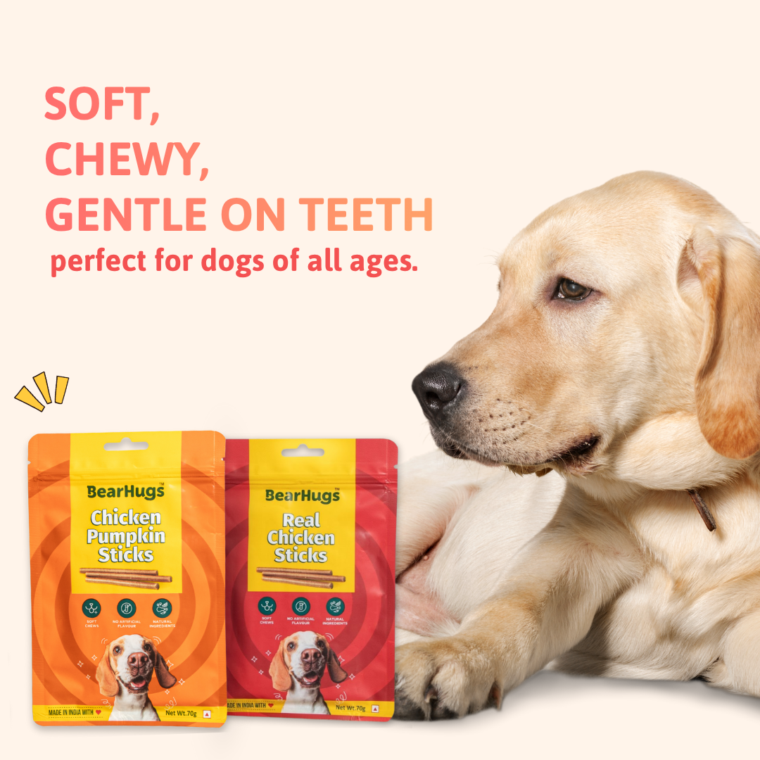 BearHugs Chicken & Pumpkin Soft & Chewy Sticks Dog Treats