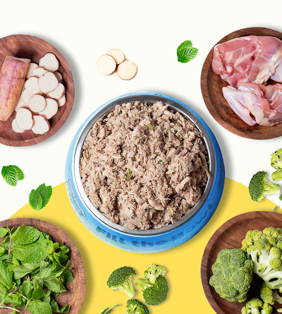 Pawfectly Made By Licious Chicken Broccoli & Sweet Potato Home Meal for Dogs