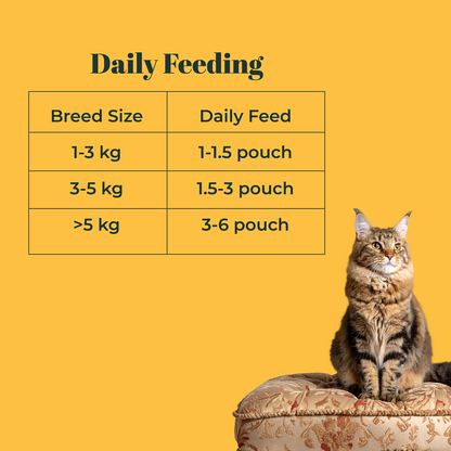 IndieCat Royal Pate Chicken and Liver Adult Cat Wet Food