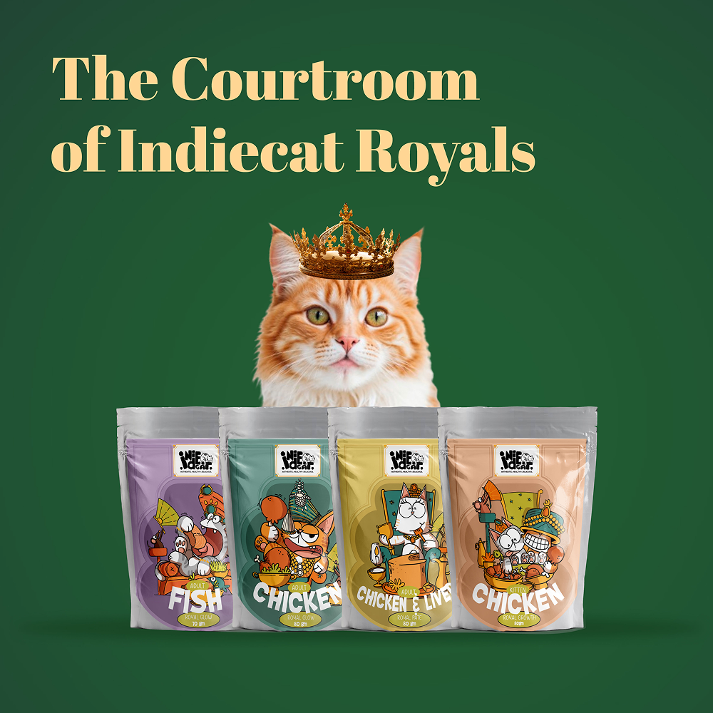 IndieCat Royal Growth Chicken Kitten Cat Wet Food