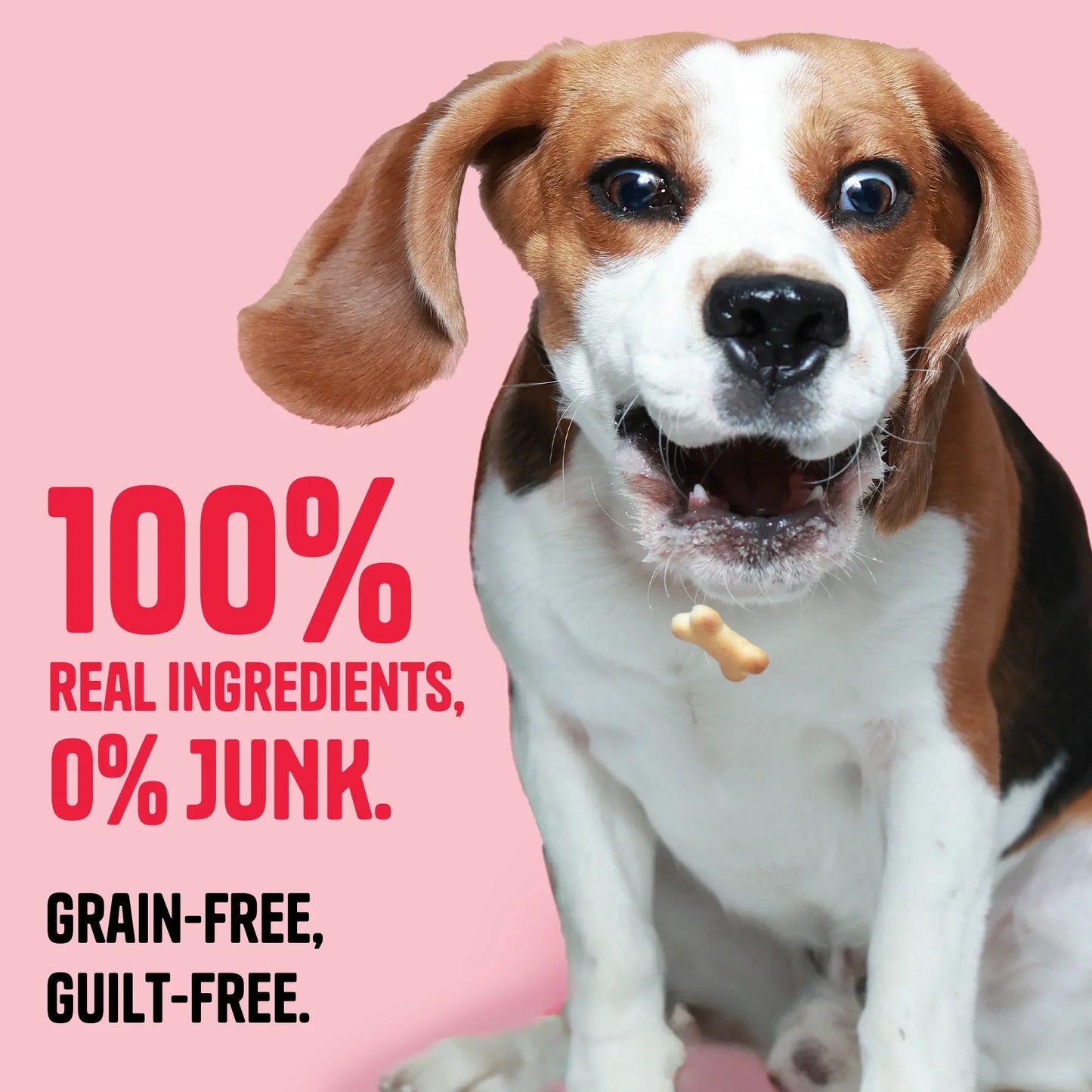 Muttley Crew Chicken Liver Biscuits Dog Treats