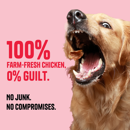 Muttley Crew Chicken Jerky Dog Treats