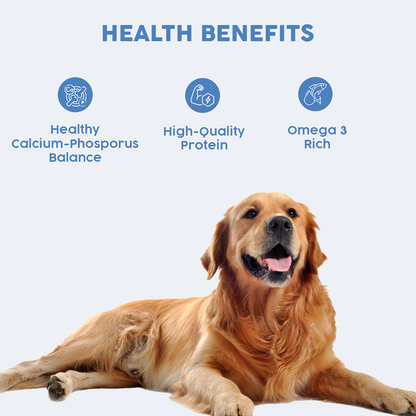 Benny's Bowl Clinical Nutrition for Renal Issues Dog Wet Food