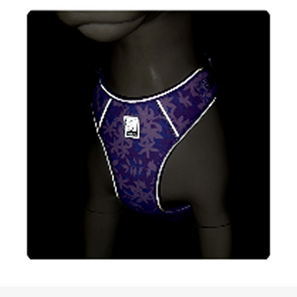 Truelove Ultra Light Harness & Leash Set for Small Dogs (Diva Blue)
