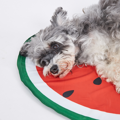 Fofos Watermelon Cooling Mat for Dogs & Cats (Green/Red)