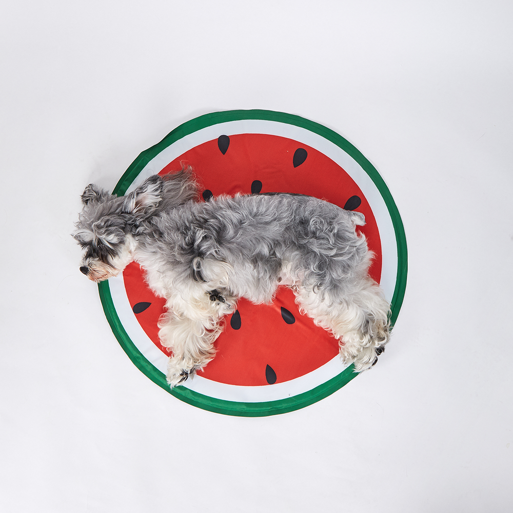 Fofos Watermelon Cooling Mat for Dogs & Cats (Green/Red)
