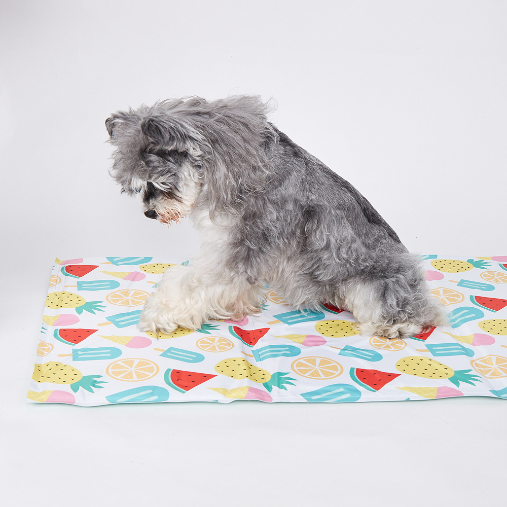 Fofos Fruits Cooling Mat for Dogs & Cats