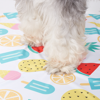 Fofos Fruits Cooling Mat for Dogs & Cats