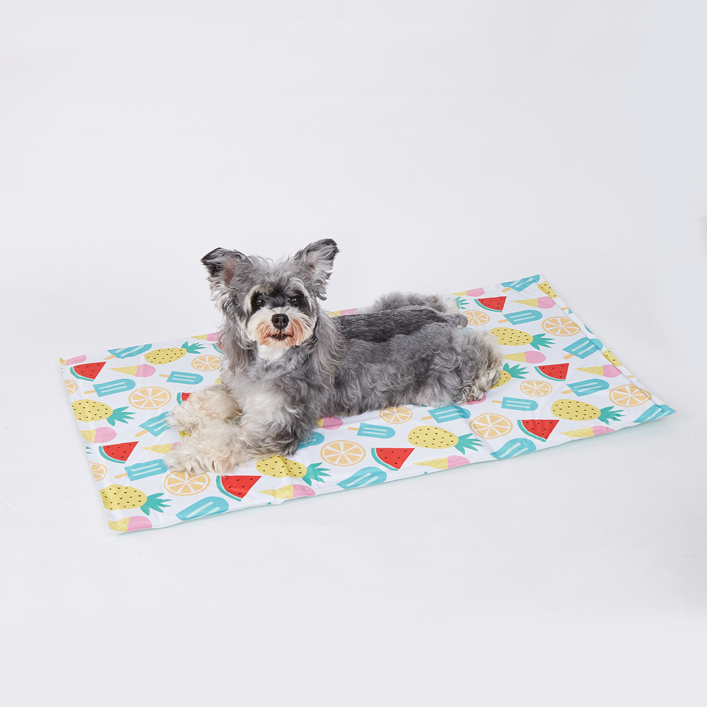 Fofos Fruits Cooling Mat for Dogs & Cats