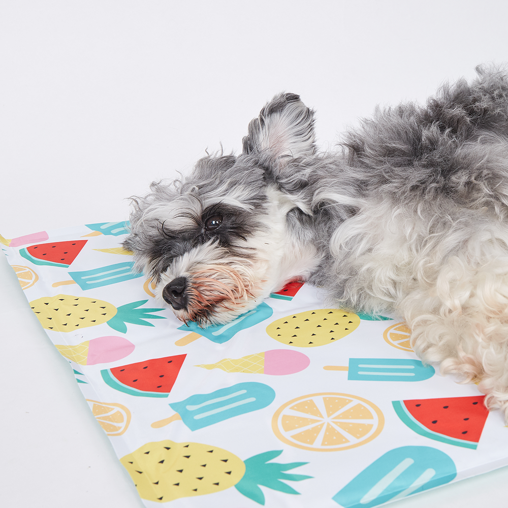 Fofos Fruits Cooling Mat for Dogs & Cats