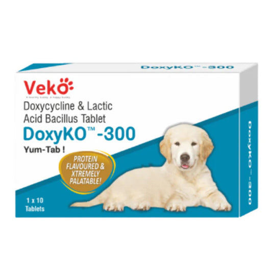 Veko Doxyko 300mg Tablets (Doxycycline) for Dogs
