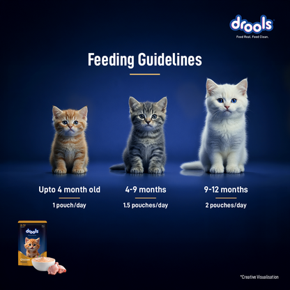 Drools Chicken Mousse Kitten Cat Wet Food