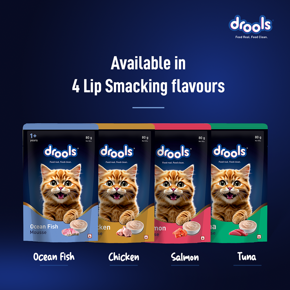 Drools Ocean Fish Mousse Kitten Cat Wet Food