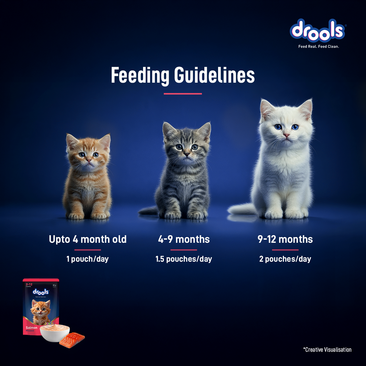 Drools Salmon Mousse Kitten Cat Wet Food