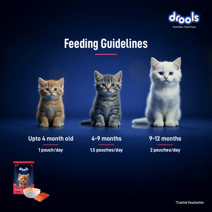 Drools Salmon Mousse Kitten Cat Wet Food