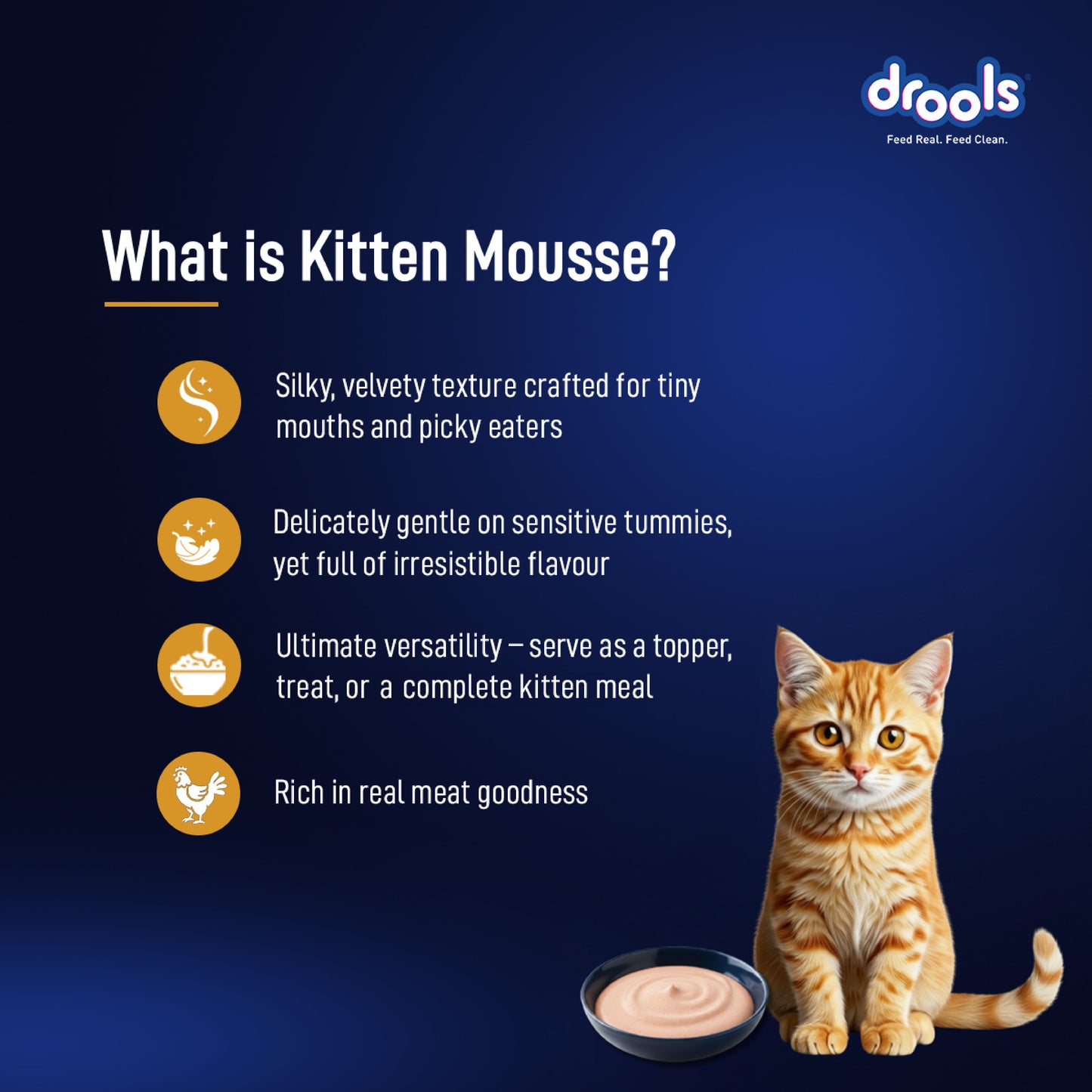 Drools Chicken Mousse Kitten Cat Wet Food