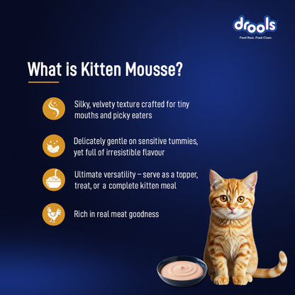 Drools Chicken Mousse Kitten Cat Wet Food