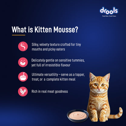 Drools Salmon Mousse Kitten Cat Wet Food