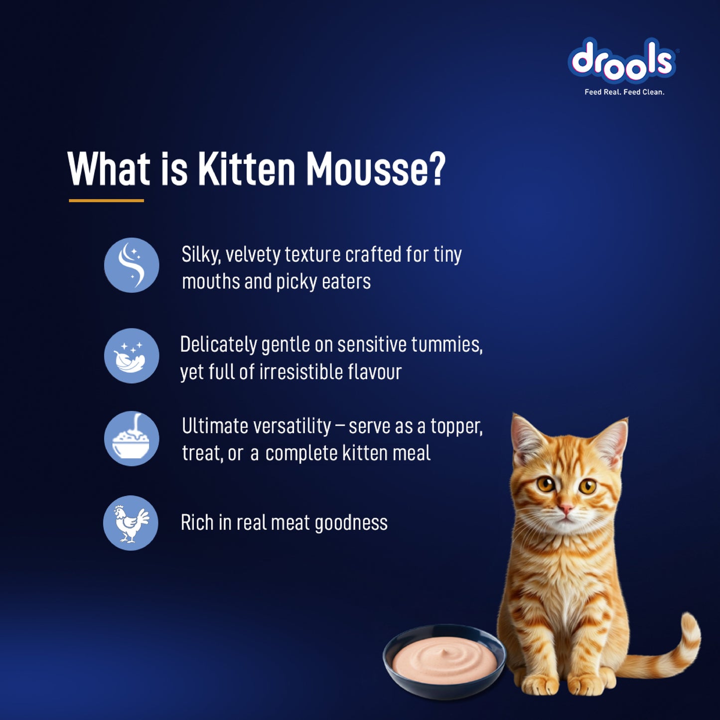 Drools Ocean Fish Mousse Kitten Cat Wet Food