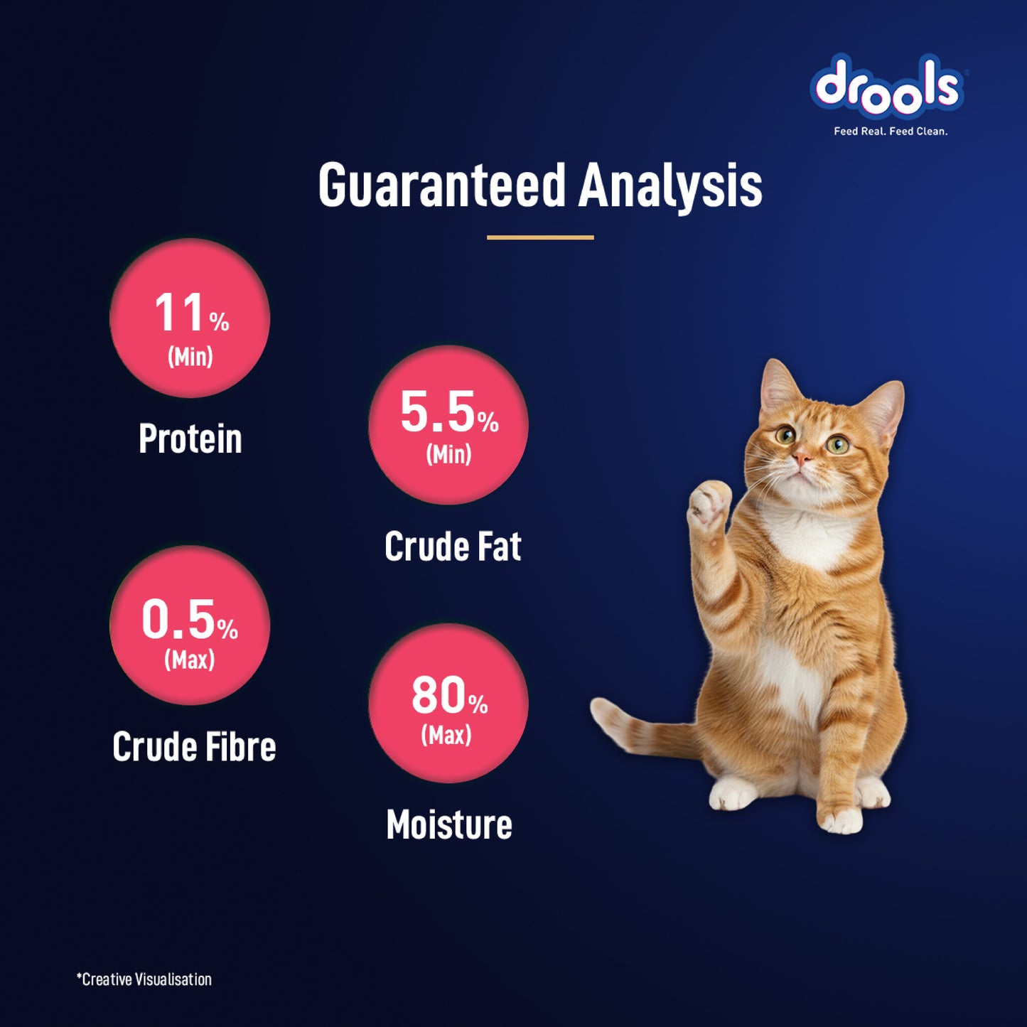 Drools Salmon Mousse Adult Cat Wet Food