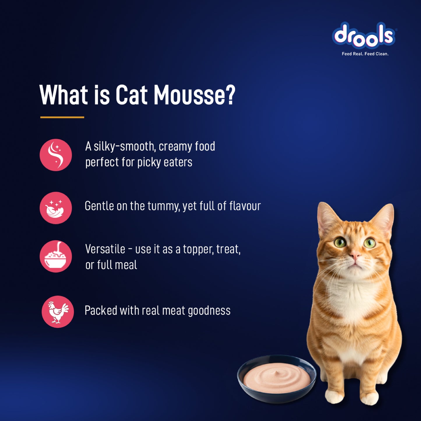 Drools Salmon Mousse Adult Cat Wet Food