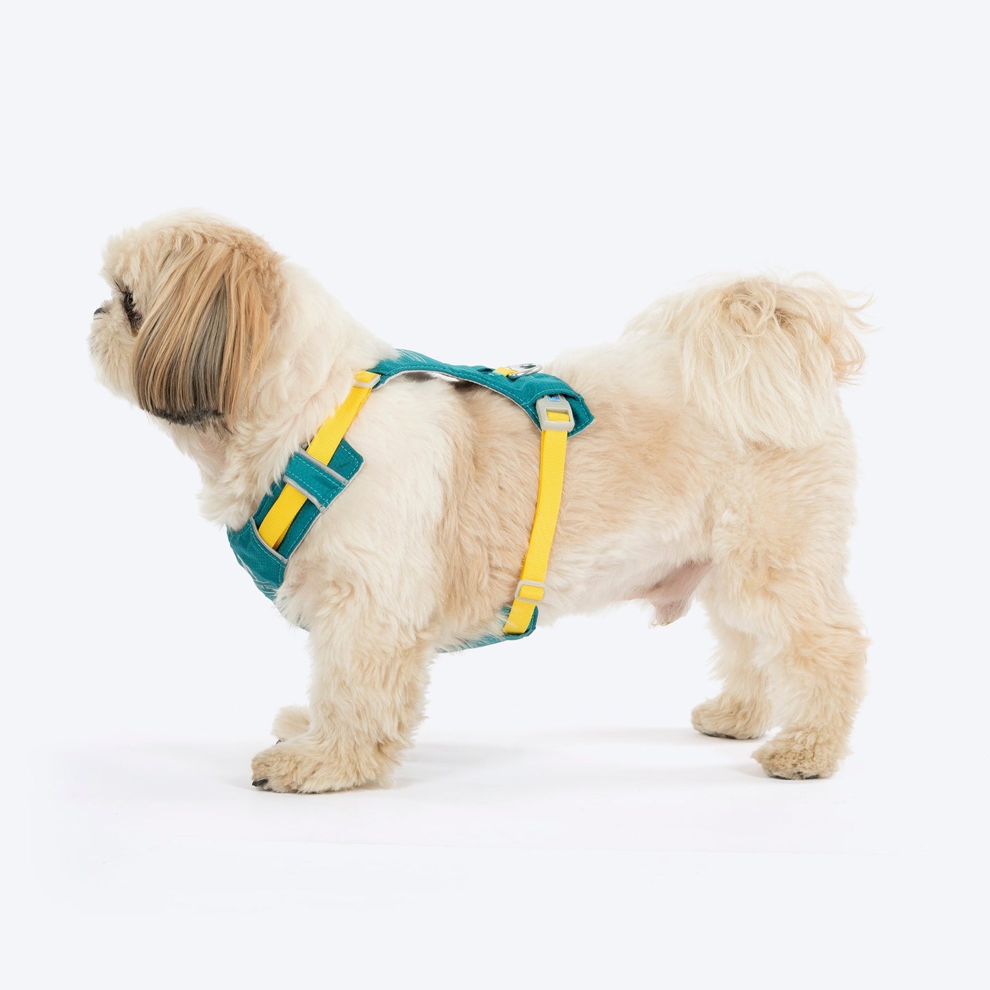 HUFT Walkmate Harness for Dogs (Teal Green)