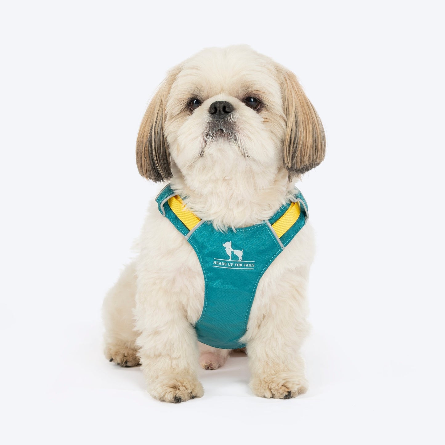 HUFT Walkmate Harness for Dogs (Teal Green)