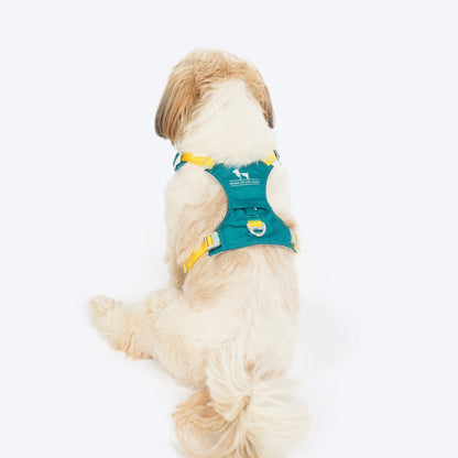 HUFT Walkmate Harness for Dogs (Teal Green)