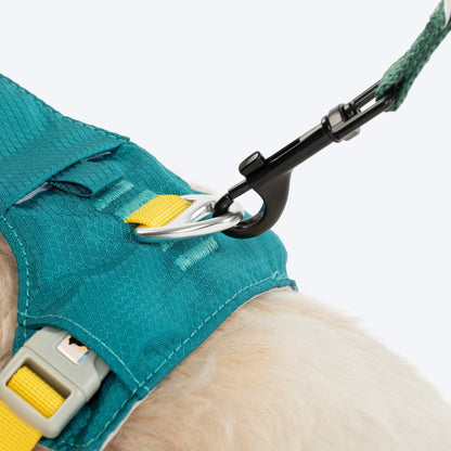 HUFT Walkmate Harness for Dogs (Teal Green)