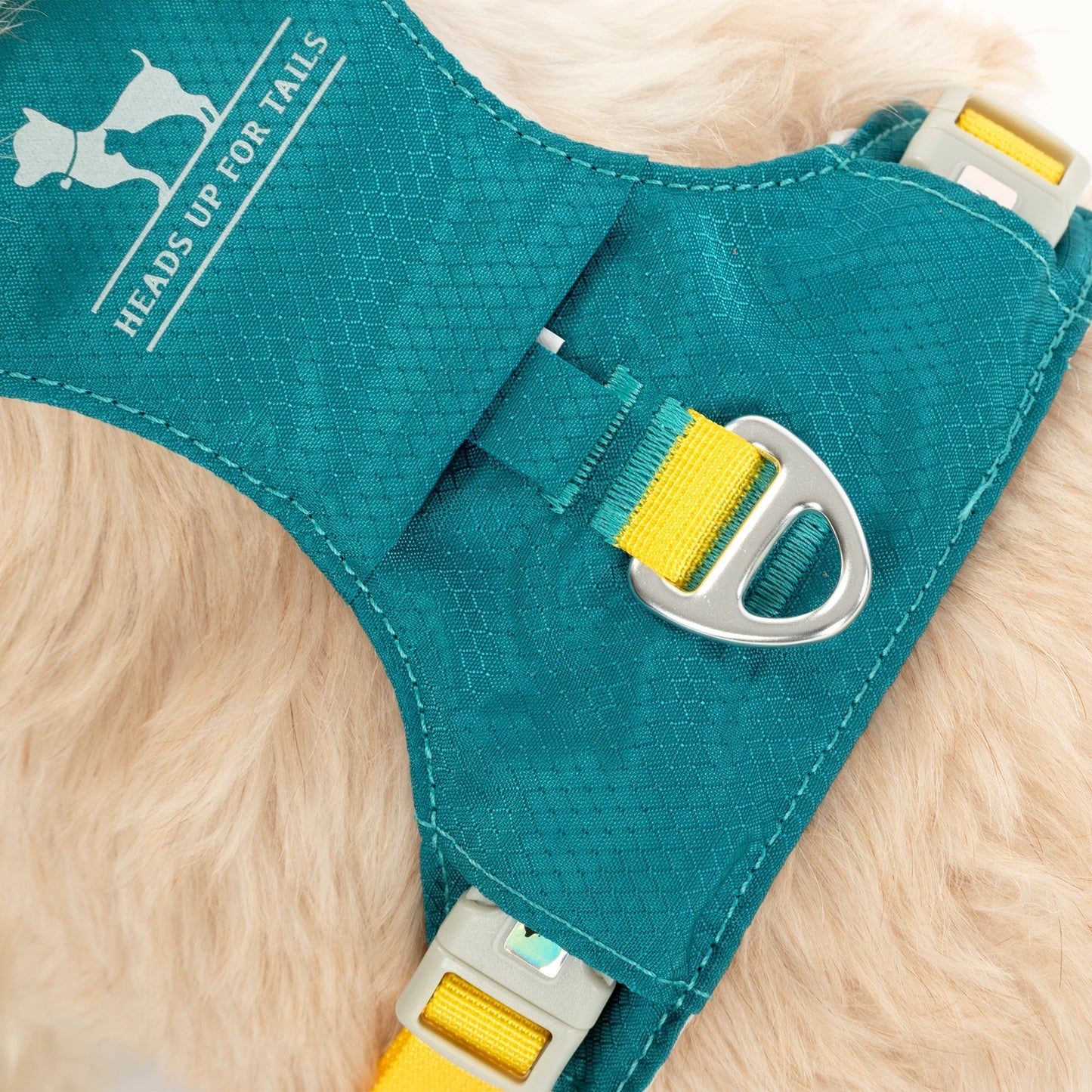 HUFT Walkmate Harness for Dogs (Teal Green)