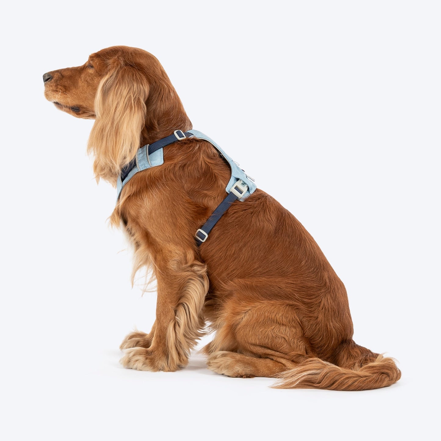 HUFT Walkmate Harness for Dogs (Slate Blue)