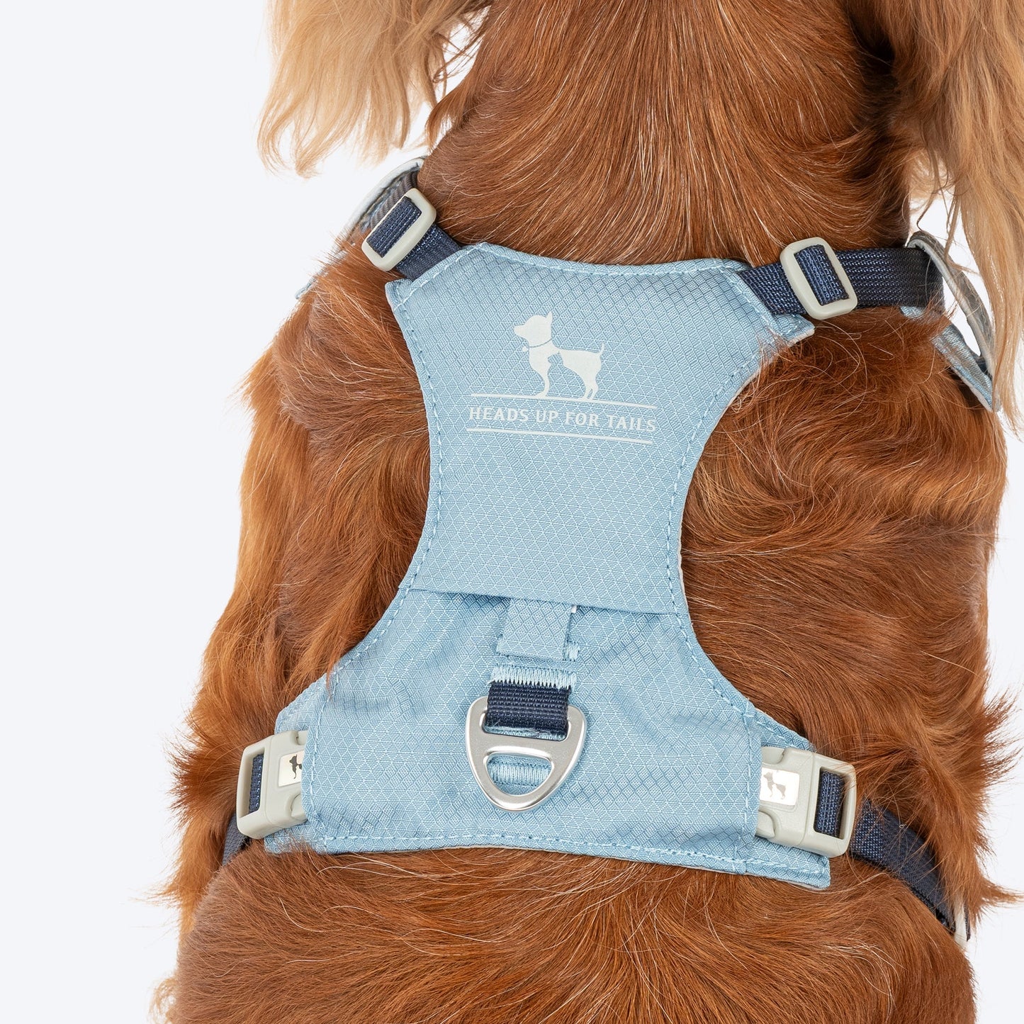 HUFT Walkmate Harness for Dogs (Slate Blue)