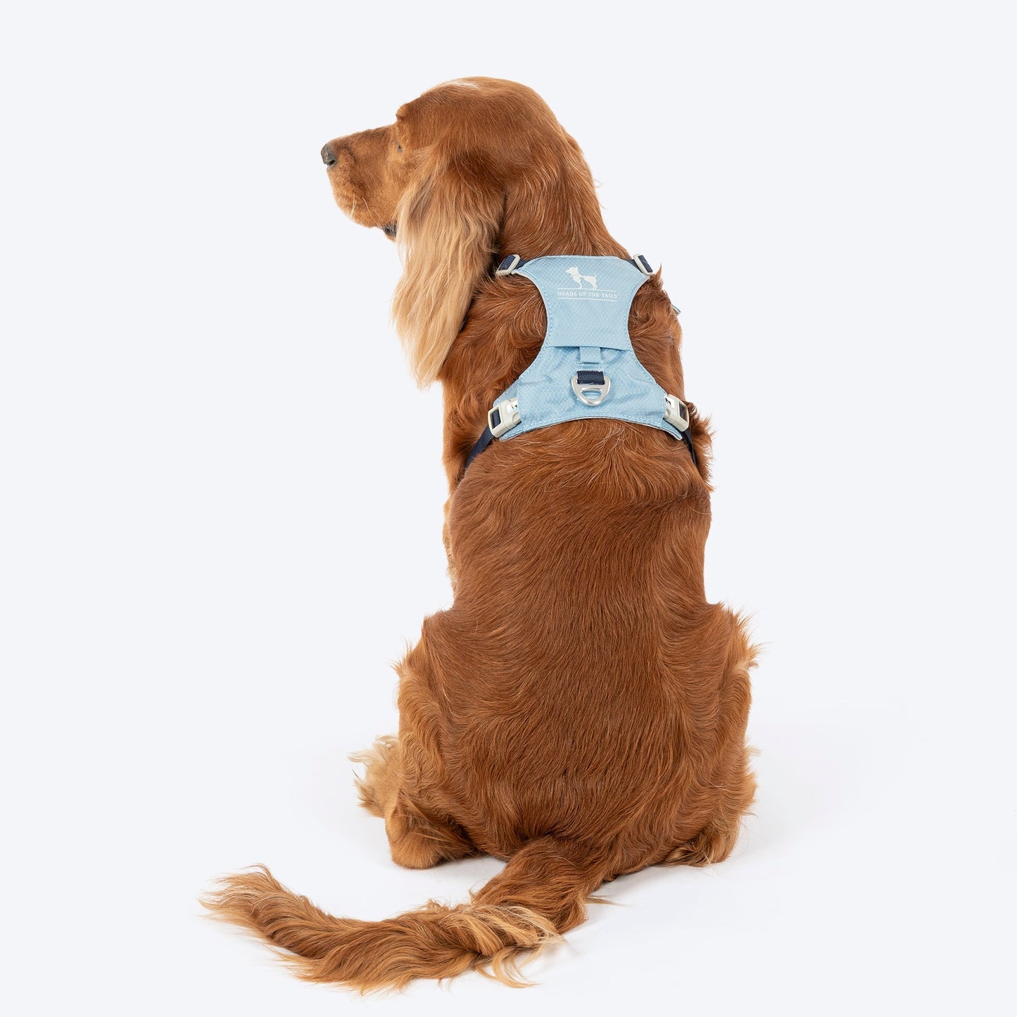 HUFT Walkmate Harness for Dogs (Slate Blue)