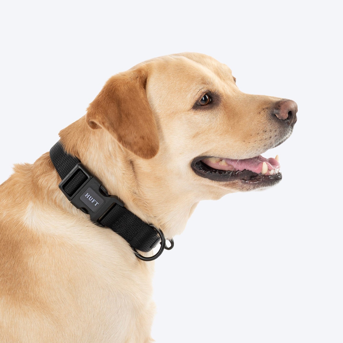HUFT Classic D Ring Collar for Dogs (Coal Black)