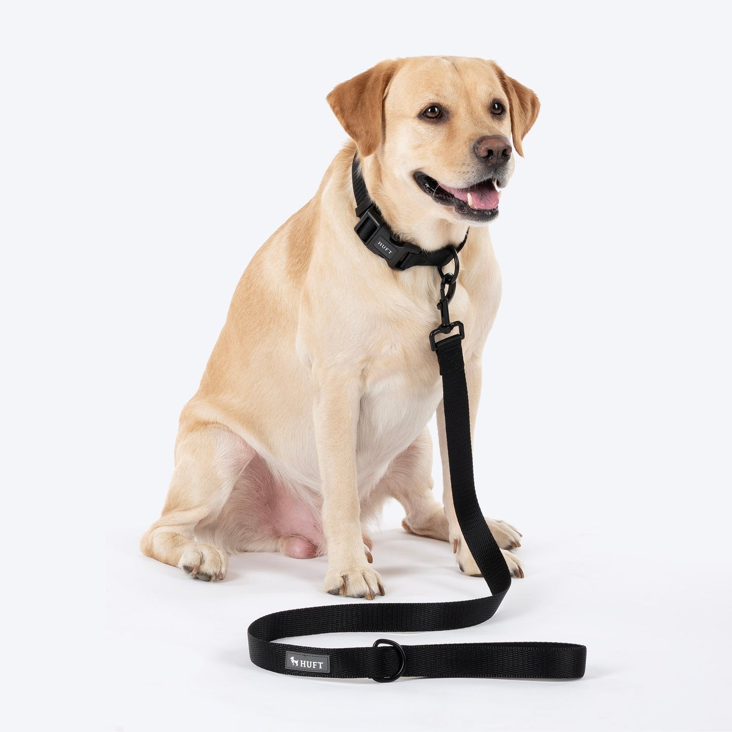 HUFT Classic Leash for Dogs (Coal Black)