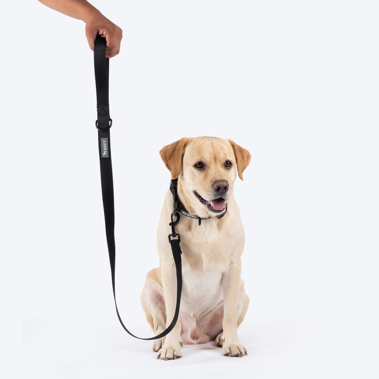 HUFT Classic Leash for Dogs (Coal Black)