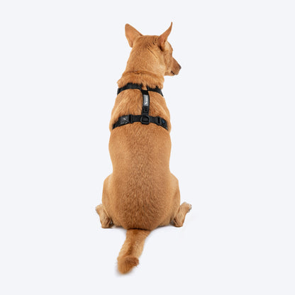 HUFT Classic H Harness for Dogs (Coral Black)