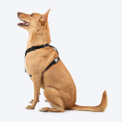 HUFT Classic H Harness for Dogs (Coral Black)