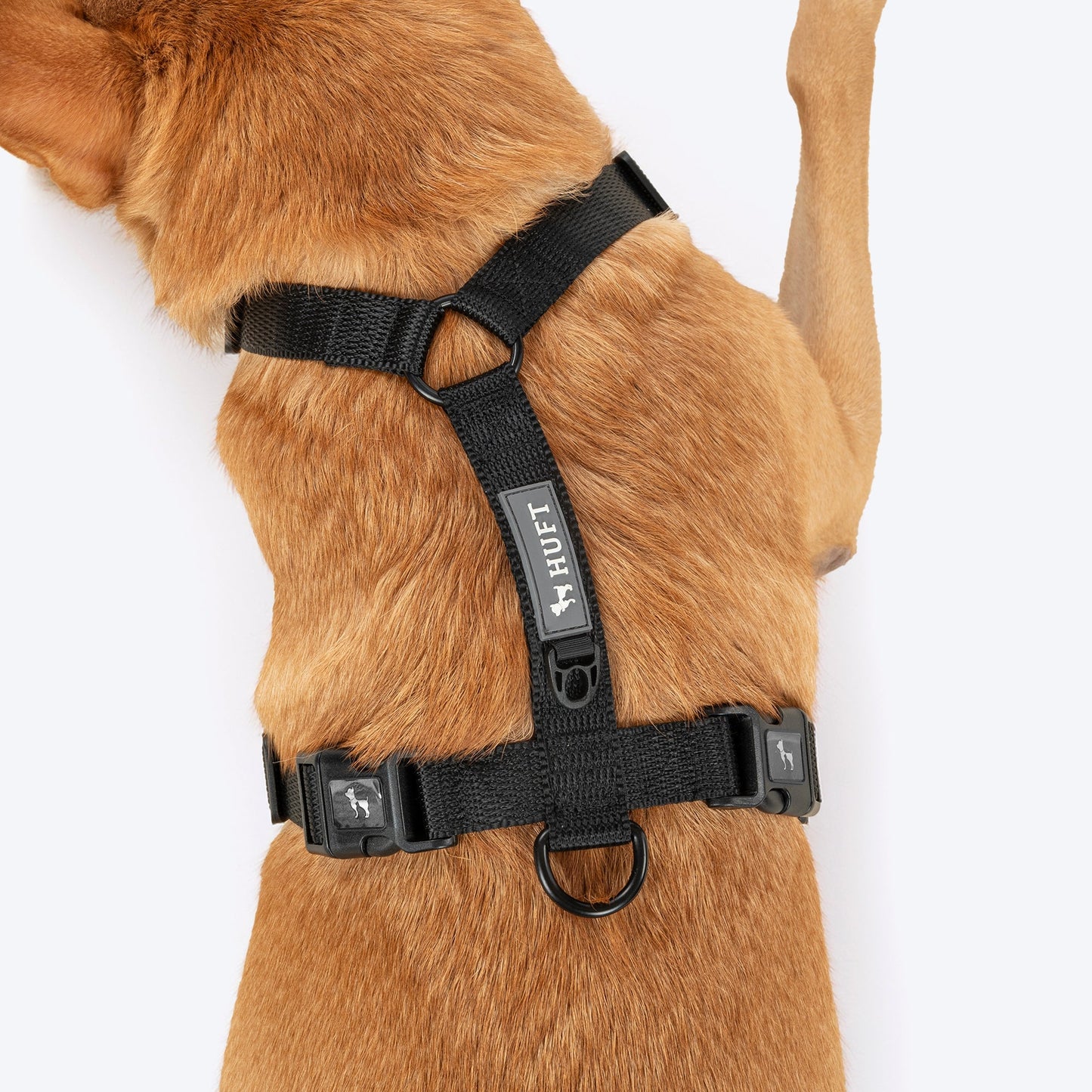 HUFT Classic H Harness for Dogs (Coral Black)